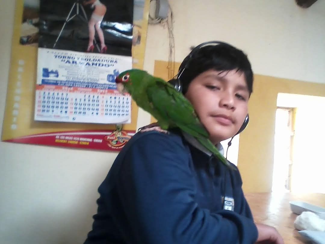 Diego Elian